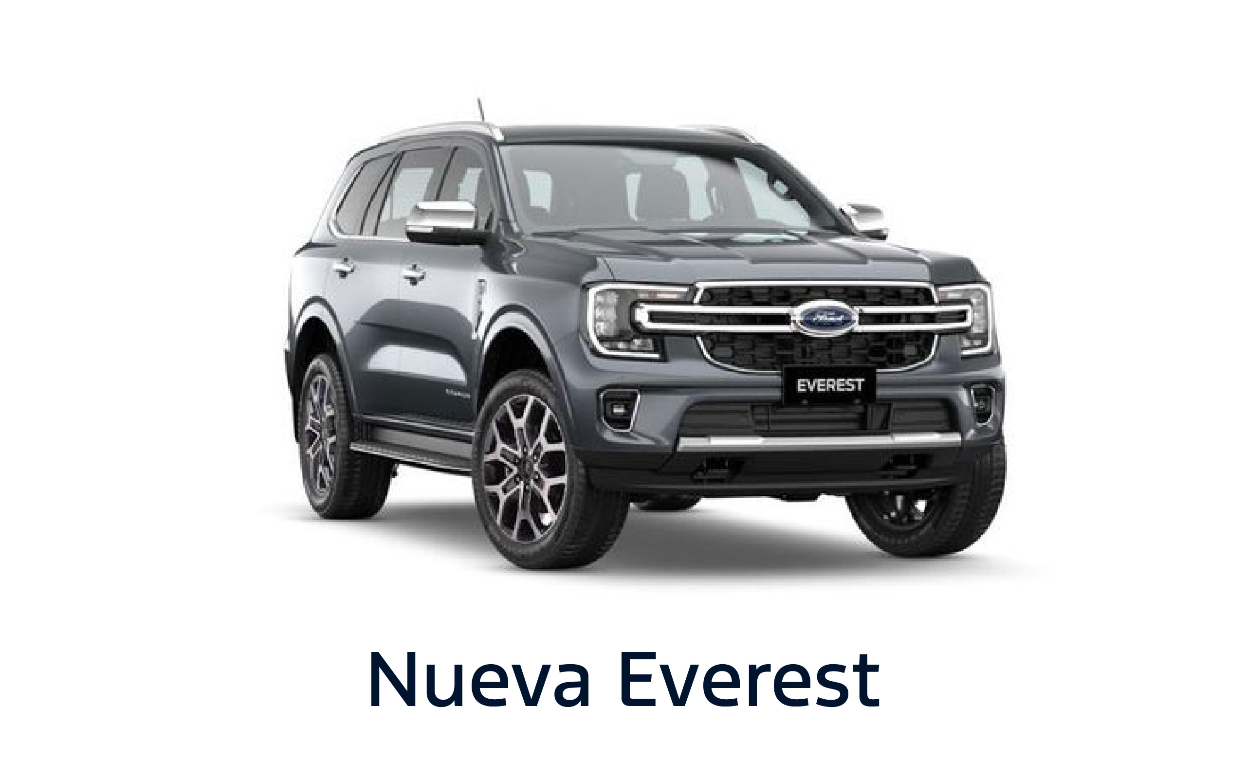 Foto formulario - Everest_Mesa de trabajo 1
